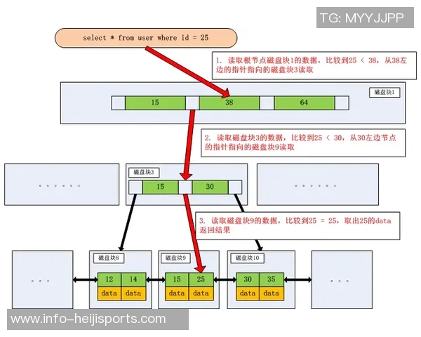 深入解析足球比赛数据与战术布局提升球队胜率的有效策略